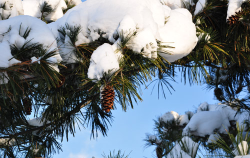 沈陽勞務(wù)外包在靈活用工方面有那些好處