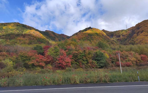 沈陽(yáng)工傷外包:工傷醫(yī)療期及其待遇相關(guān)問(wèn)題匯總