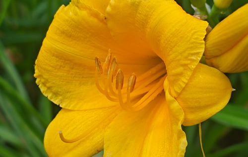 遼寧省機關(guān)事業(yè)單位為什么招聘這么多勞務(wù)派遣人員?