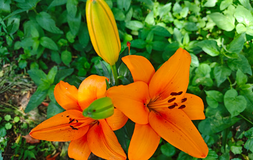 簽訂了無(wú)固定期限勞動(dòng)合同卻被辭退，怎么辦？沈陽(yáng)人事代理來(lái)幫忙