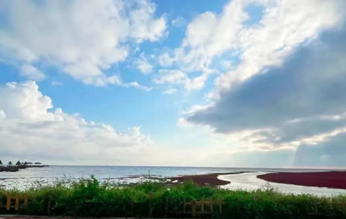 沈陽勞務(wù)派遣公司是如何維護(hù)人力資源個(gè)體的合法權(quán)益?