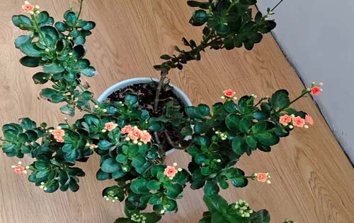 沈陽(yáng)人事代理公司提供的代理服務(wù)概覽