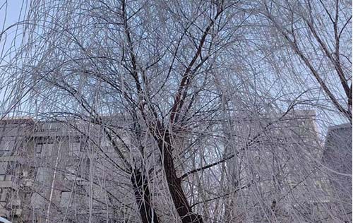 沈陽勞務(wù)外包公司解析:勞務(wù)外包中的注意事項