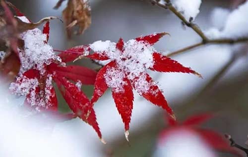 沈陽工傷風險外包對于企業(yè)來說有哪些優(yōu)勢?