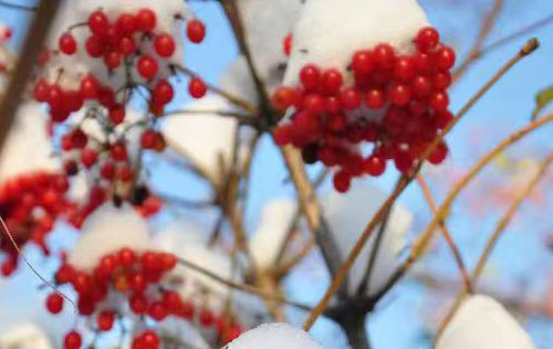 沈陽靈活用工有哪些優(yōu)勢(shì)?