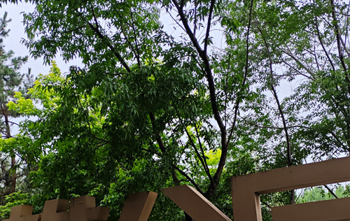 沈陽人事代理服務(wù):簡化人力資源管理的秘訣 沈陽人事代理服務(wù):簡化人力資源管理的秘訣